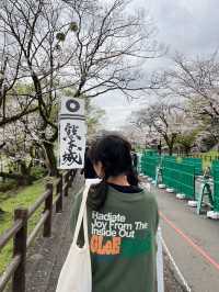 日本🇯🇵熊本｜意外發現熊本城是一個超棒的賞櫻地！千萬不要錯過進入熊本城裏面參觀