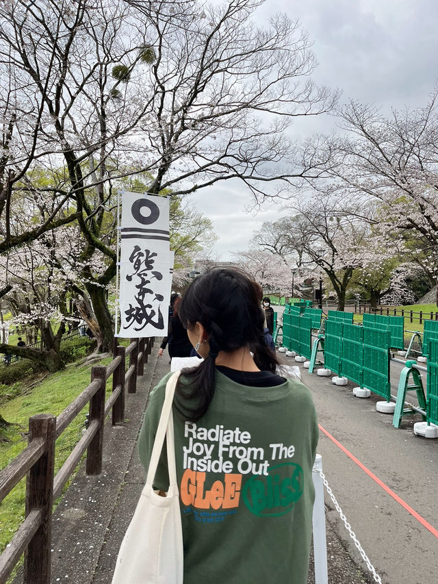 日本🇯🇵熊本｜意外發現熊本城是一個超棒的賞櫻地！千萬不要錯過進入熊本城裏面參觀