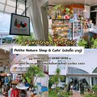 Petite Nature Shop & Cafe : เปอติ๊ต นาตู🍨☕