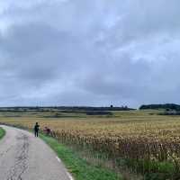 朝聖之路 Camino De Santiago 