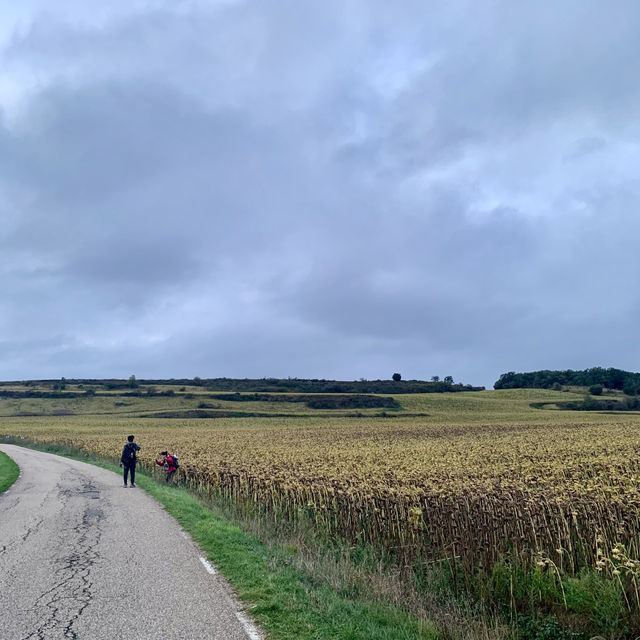 朝聖之路 Camino De Santiago 