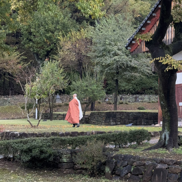 대구근교 단풍 나들이 송림사