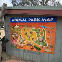  Maru Koala and Animal Park：與可愛動物相遇的夢幻之地 🐨🌿