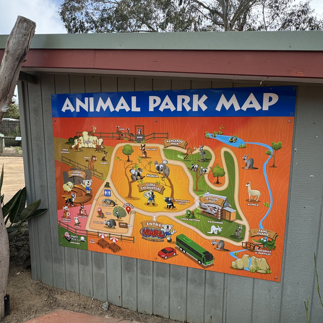  Maru Koala and Animal Park：與可愛動物相遇的夢幻之地 🐨🌿
