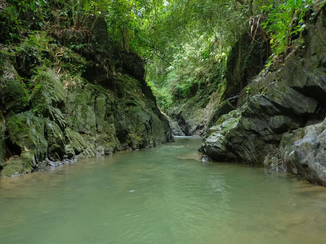 สายรุ้งละอองดาว ที่เดินป่าภาคใต้🌳🌵