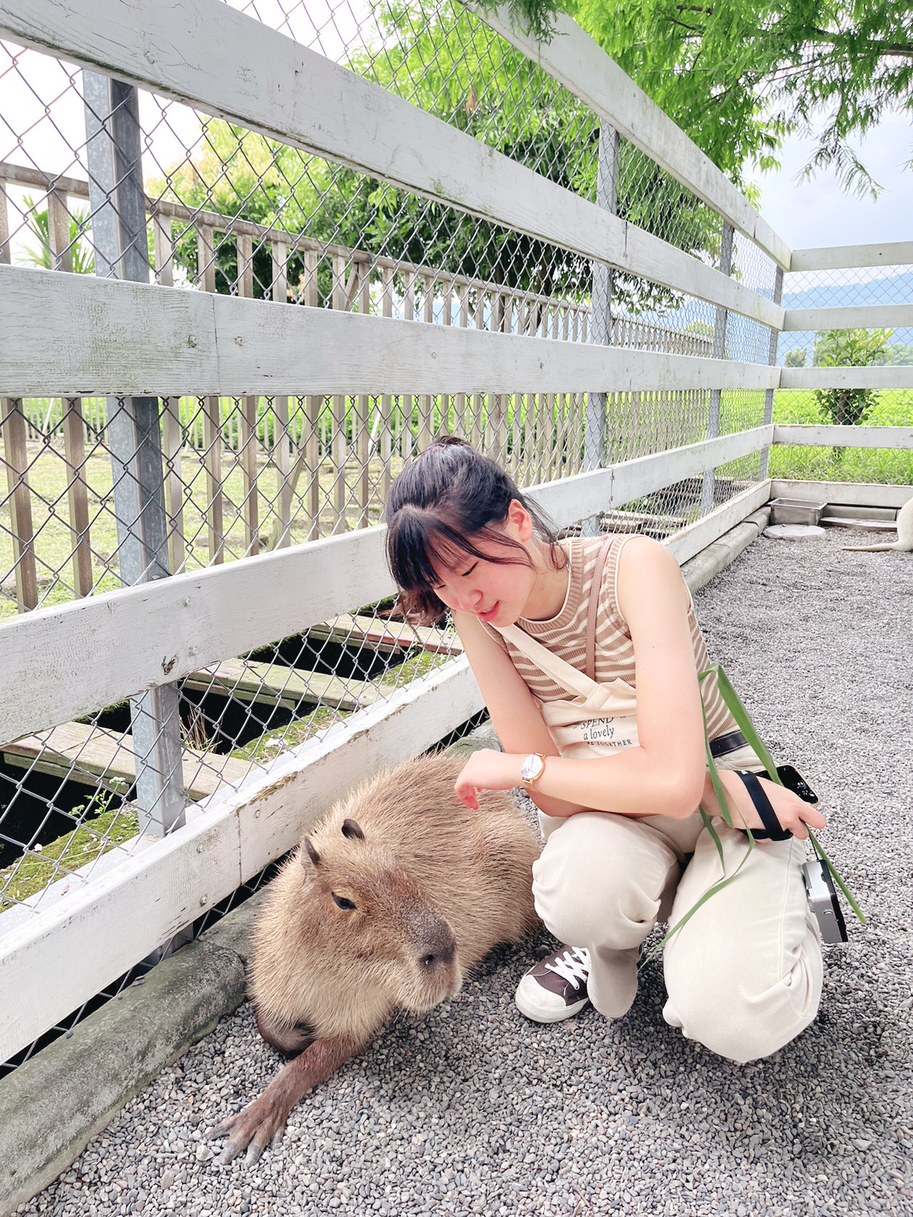 Yilan｜Perkebunan Nenek Zhang Mei🌳🦘