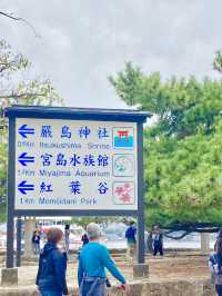 【広島観光】安芸の宮島のベストシーズンすぐそこ❣️