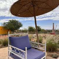Cactus Thiemann 🌵仙人掌園