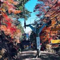 景點推薦：高尾山，秋季紅葉美景一覽無遺