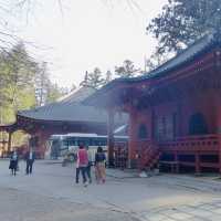 Pathway to Serenity: Strolling Through Nikko’s Ancient Cedars