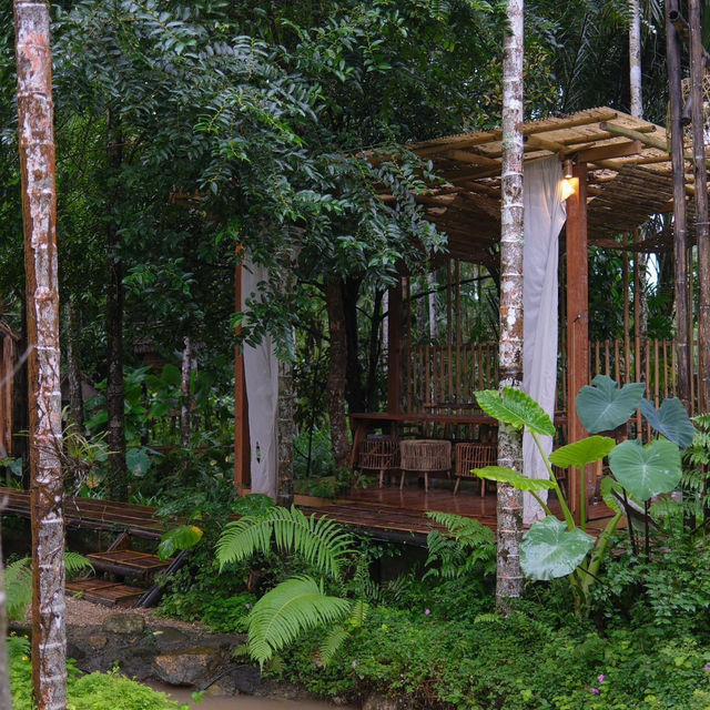 คาเฟ่บ้านไม้กลางป่าสุดกรีน