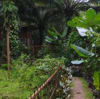 Mood ดี บรรยากาศสุดใจฟู 🏠🌴🍃