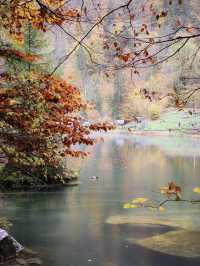 瑞士🇨🇭｜藍湖（Blausee）的靜謐之美