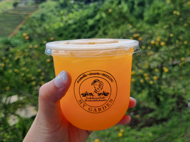 แวะมาเติมความสดใส ในสวนส้ม🍊จังหวัดเชียงใหม่