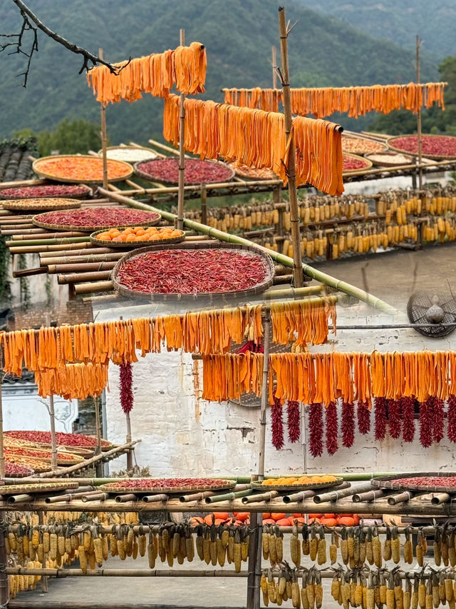 Harvest Colours and Timeless Traditions: Our Journey to Huangling Village