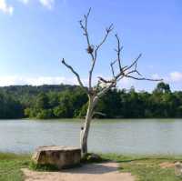 One Day Trip.​ เขาใหญ่