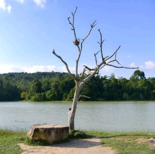 One Day Trip.​ เขาใหญ่