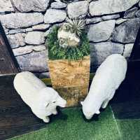 健康食材餐廳｜慢理牆城 (油麻地)