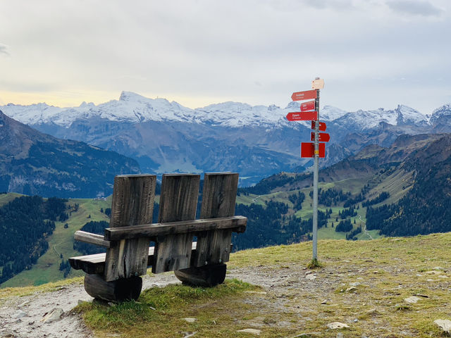 Stanserhorn’s Mystical Beauty on a Gloomy Day