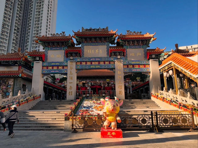 漫遊香港 體驗道地早茶