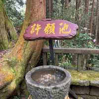 Explore the magical Alishan, Taiwan