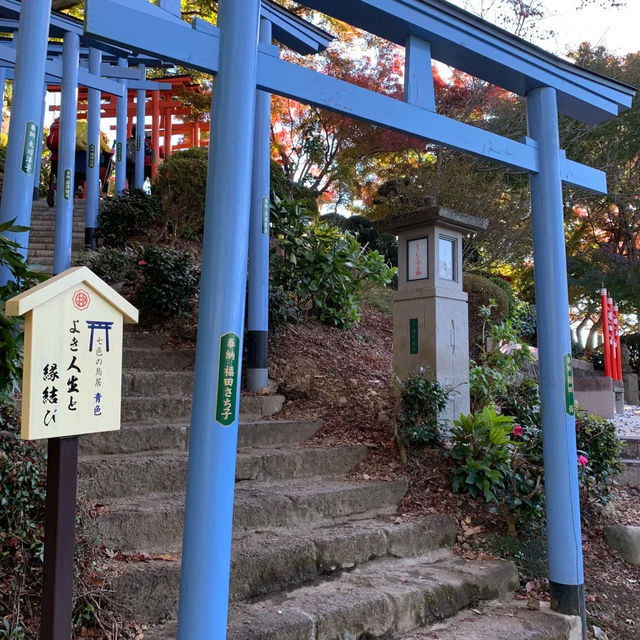 ～大德寺～秋色中的鳥居～