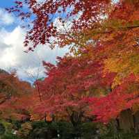 慶沢園：紅葉盛宴 🍁⛩️