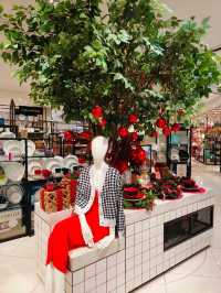 Make Your Holiday Season Shine at Parkson