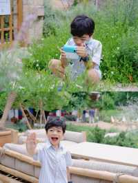 The Reise คาเฟ่ที่มีแต่คำว่าน่ารักเต็มไปหมด 🍋