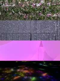 5 เรื่องต้องรู้ก่อนไป teamlab planet