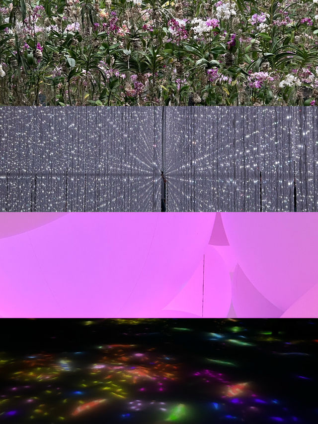 5 เรื่องต้องรู้ก่อนไป teamlab planet
