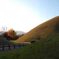 韓國慶州_Walking in Gyeongju 慶洲散策