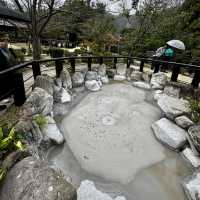 Beppu Hot Springs Hells Tour