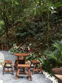 อุตสาชงที่บ้าน คาเฟ่กลางป่าในจังหวัดเชียงใหม่🌳