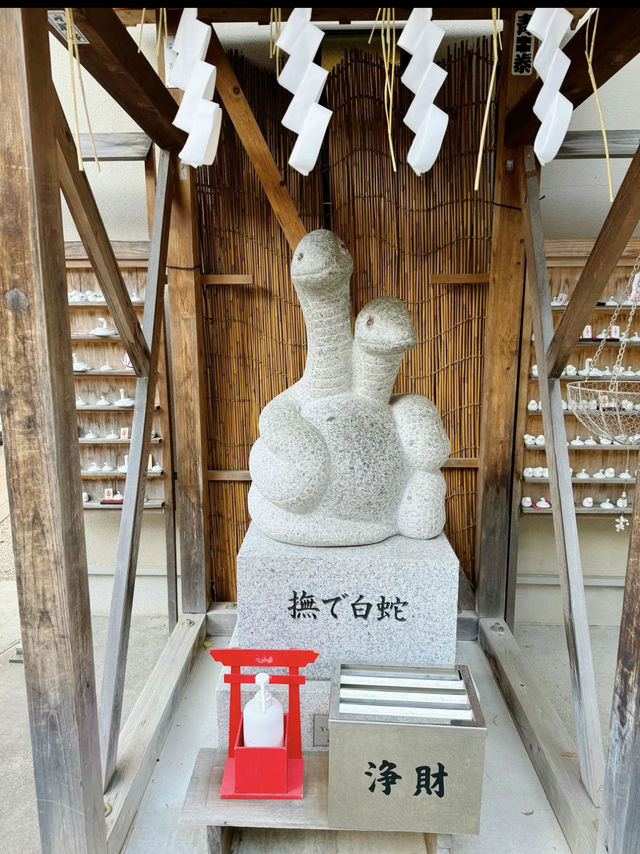 〜東京都〜2025年初詣はココ！ヘビ年に行くべき神社⛩️