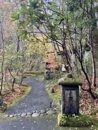 【大分温泉】山に溶け込むように佇むお宿