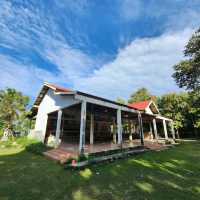Tranquility and Tradition at Wat Nong Muang