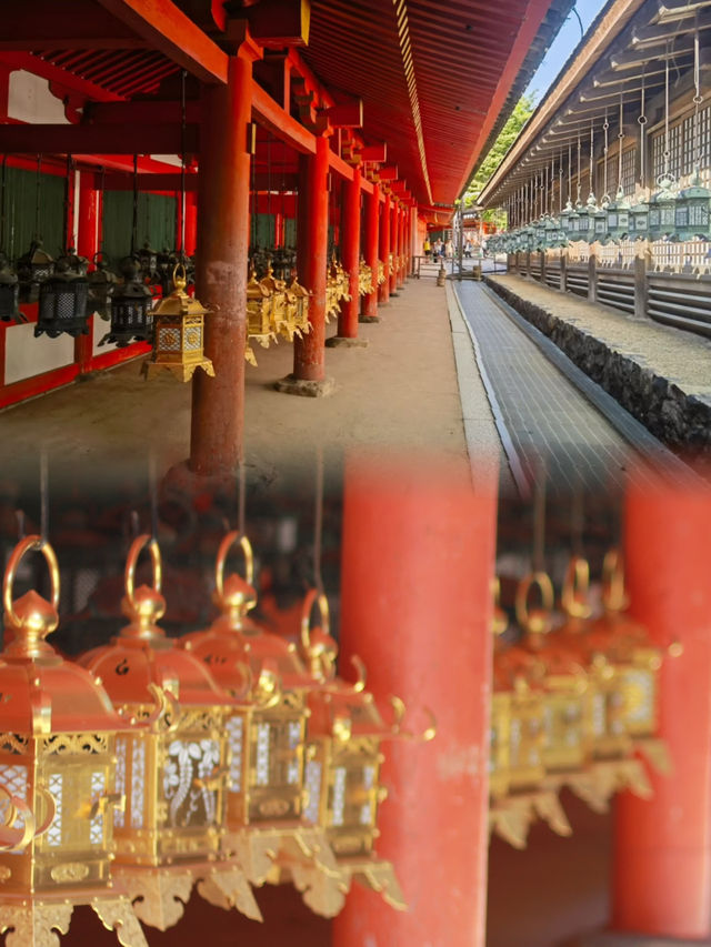 Spring Serenity at Kasuga Taisha: Where History Meets Nature