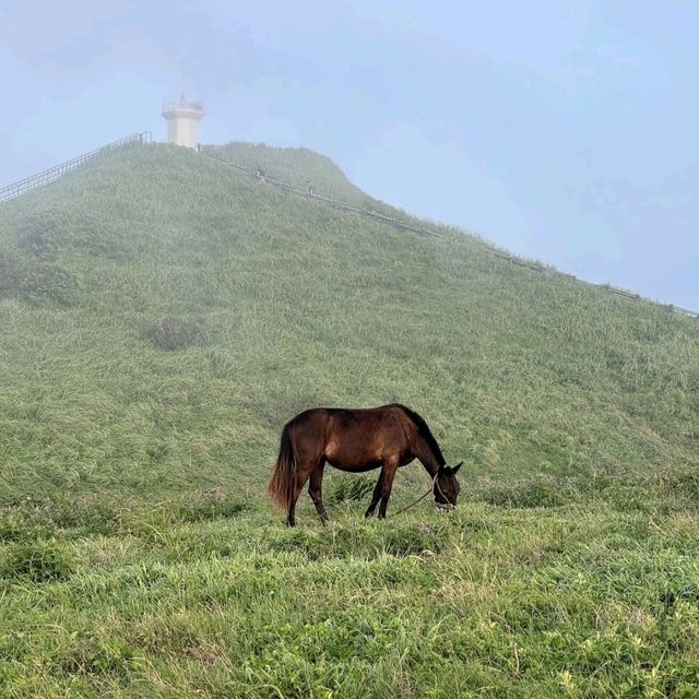 Beautiful Trail