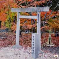Yohashira Shrine