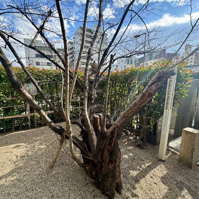 一生に一度の願い事は堀越神社で！