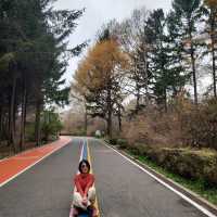 South Lake Park สวนสาธารณะใหญ่ใจกลางเมืองฉางชุน