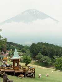 可愛度滿分的富士山馬飼野牧場！
