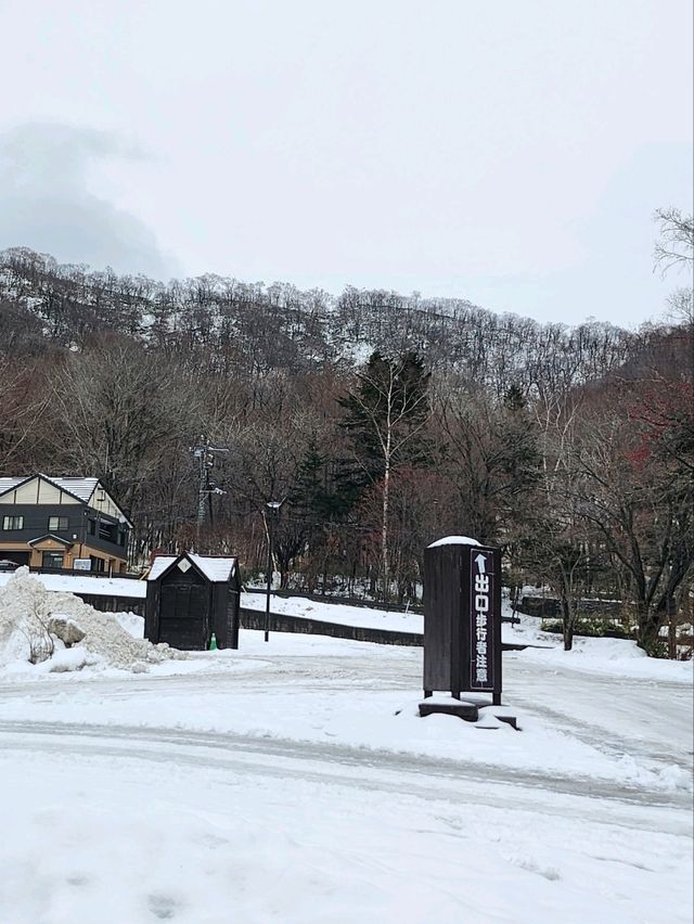 시코츠호수에 대한 모든 정보를 얻기 좋은 관광안내소🌼