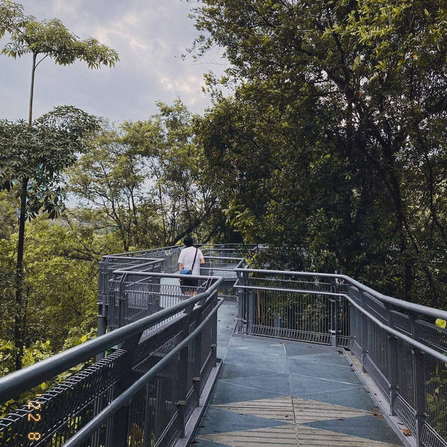 Southern Ridges (Henderson Waves)