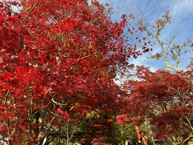 東京 - 走進淺間公園的奇幻世界 🌄✨