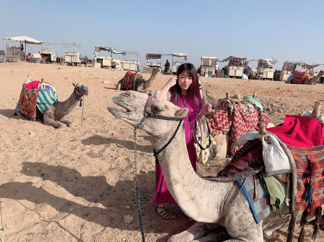 Fun Camel Ride at the Pyramids of Giza🐫