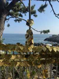 부산 여행의 필수 코스 해동용궁사
