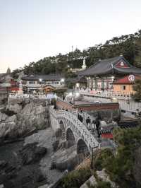 【釜山】美しい海のお寺 海東龍宮寺