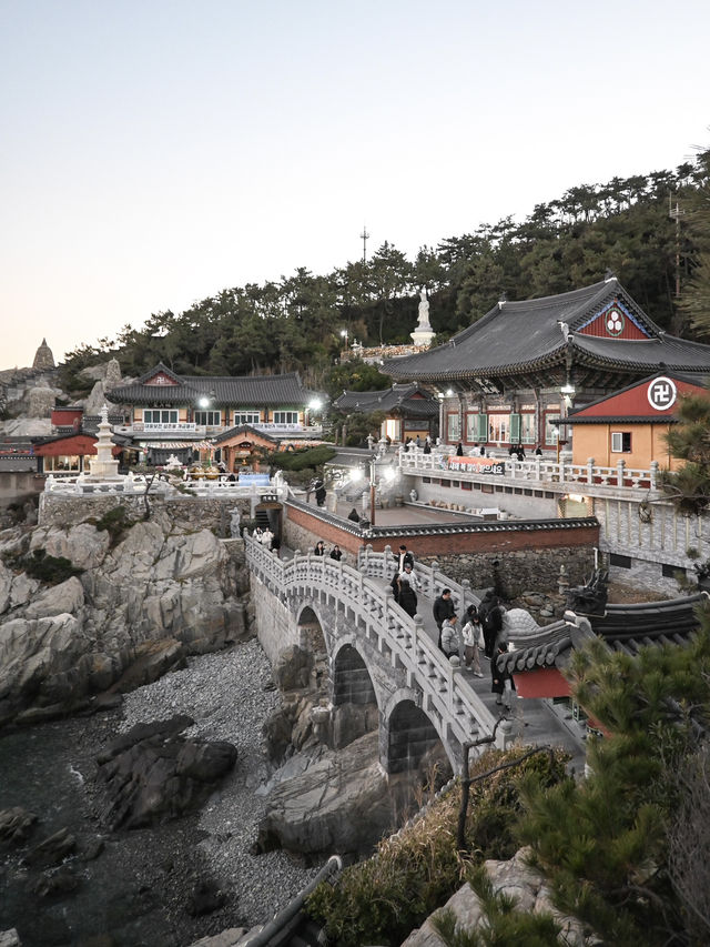 【釜山】美しい海のお寺 海東龍宮寺